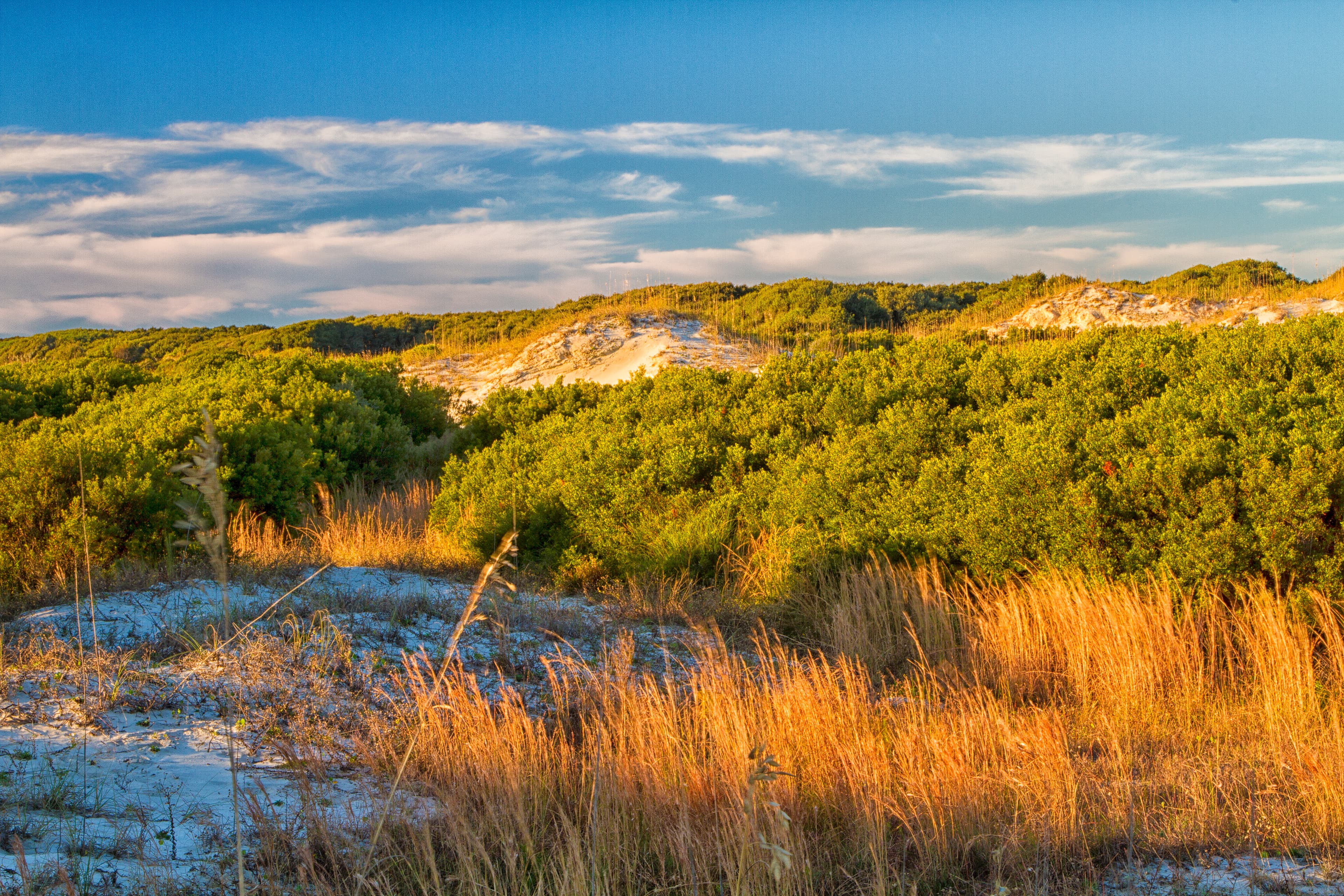 Cumberland Island National Seashore
