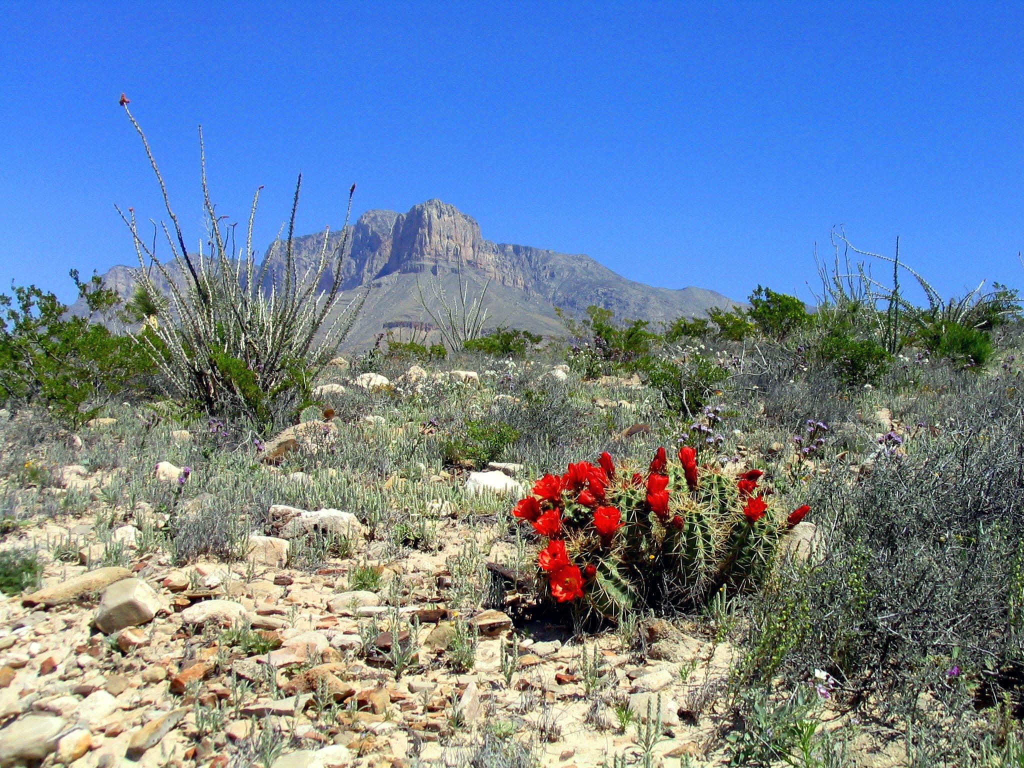 Guadalupe Mountains National Park